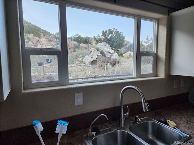 interior details with sink