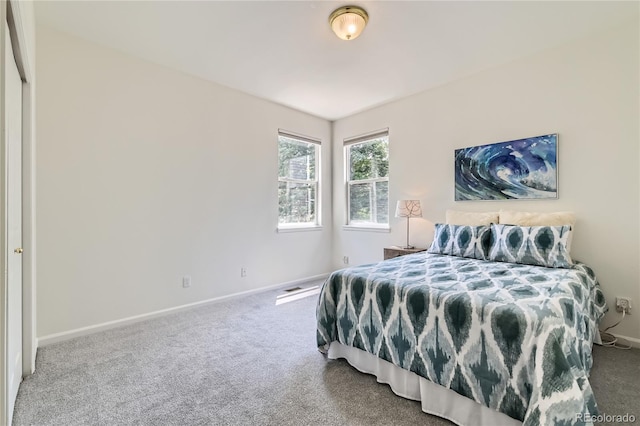 1005 Creek Ct, Longmont, CO 80503 - photo 13