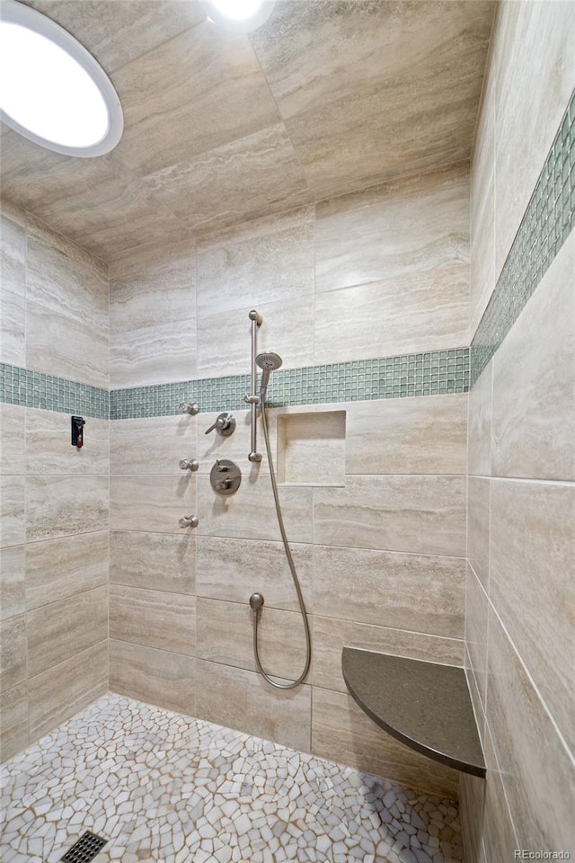 29210 Northstar Ln, Evergreen, CO 80439 - bathroom with tiled shower