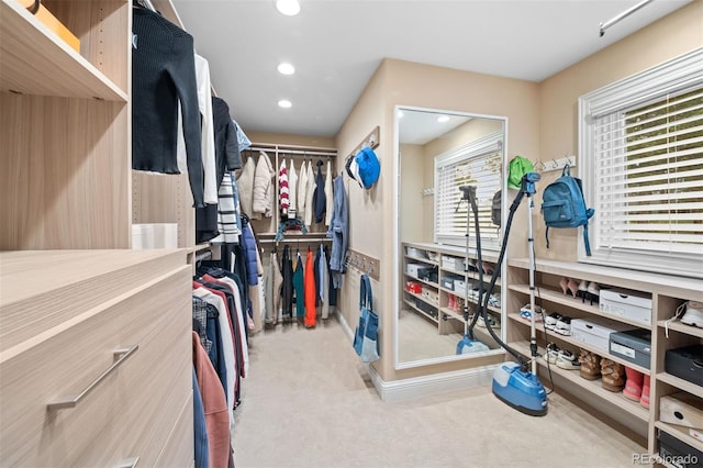29210 Northstar Ln, Evergreen, CO 80439 - walk in closet featuring carpet floors