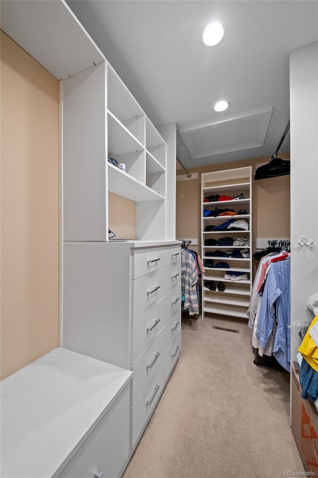 29210 Northstar Ln, Evergreen, CO 80439 - walk in closet with attic access and light carpet