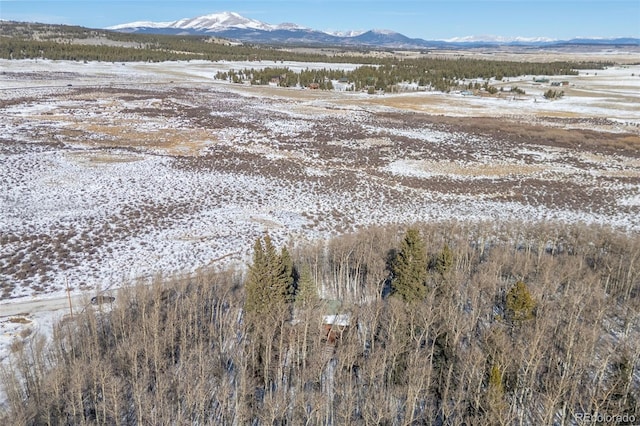 1333 High Creek Rd, Fairplay, CO 80440 - photo 31