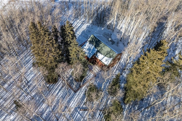 1333 High Creek Rd, Fairplay, CO 80440 - photo 4