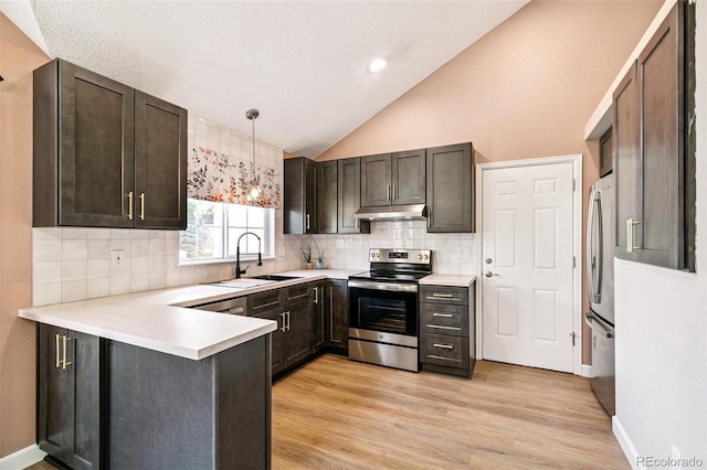 3612 Rosewalk Cir, Highlands Ranch, CO 80129 - kitchen with stainless steel appliances, a peninsula, tasteful backsplash, lofted ceiling, and under cabinet range hood
