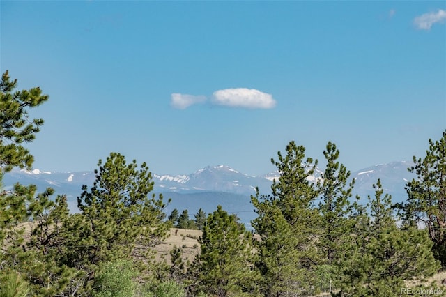 91 Canteen Way, Hartsel, CO 80449 - view of mountain backdrop