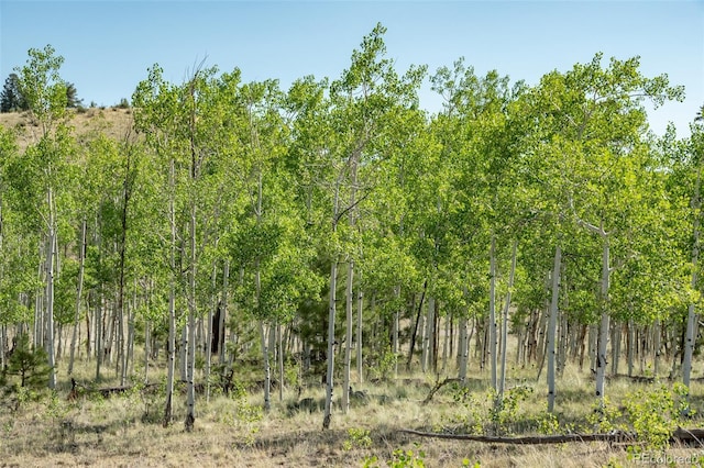91 Canteen Way, Hartsel, CO 80449 - view of local wilderness