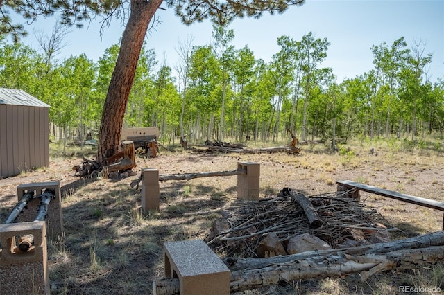 91 Canteen Way, Hartsel, CO 80449 - view of yard