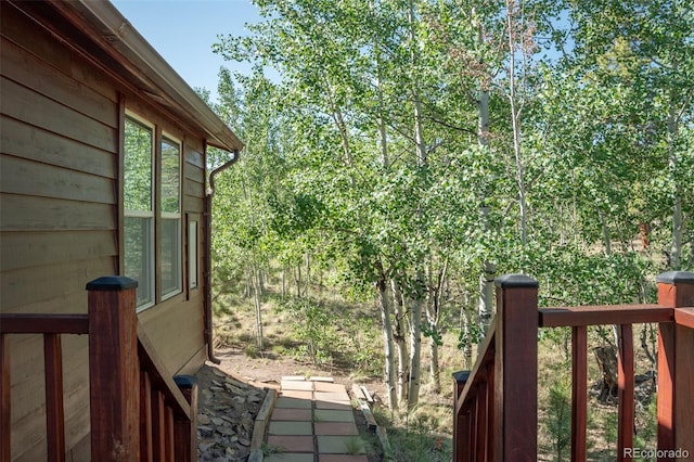 91 Canteen Way, Hartsel, CO 80449 - view of yard