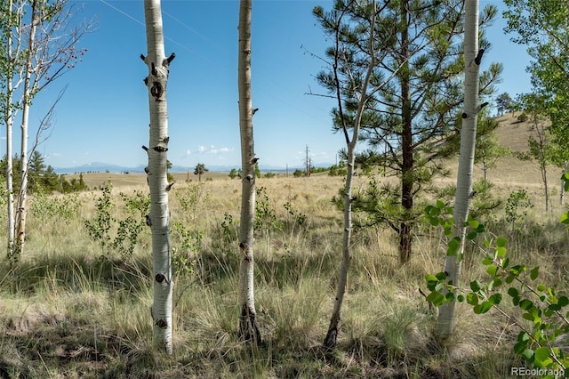 91 Canteen Way, Hartsel, CO 80449 - view of nature featuring rural landscape