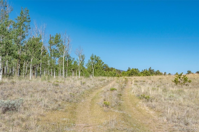 91 Canteen Way, Hartsel, CO 80449 - view of local wilderness with rural landscape