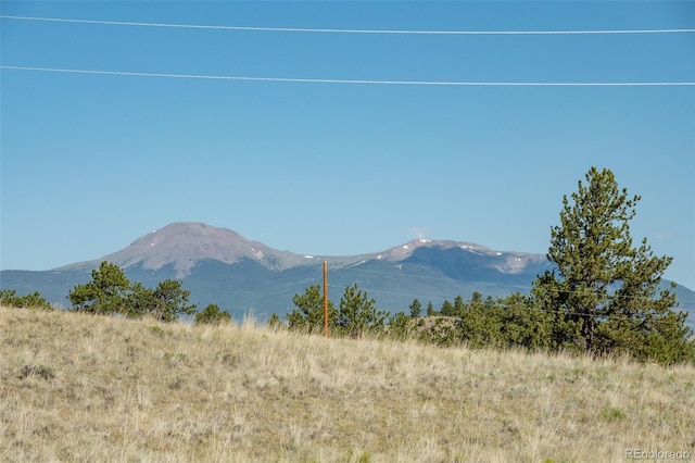 91 Canteen Way, Hartsel, CO 80449 - mountain view
