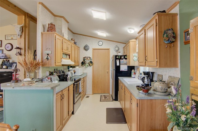 91 Canteen Way, Hartsel, CO 80449 - kitchen with stainless steel appliances, vaulted ceiling, light brown cabinetry, light countertops, and crown molding