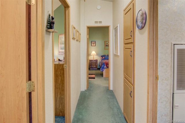 91 Canteen Way, Hartsel, CO 80449 - hallway featuring carpet