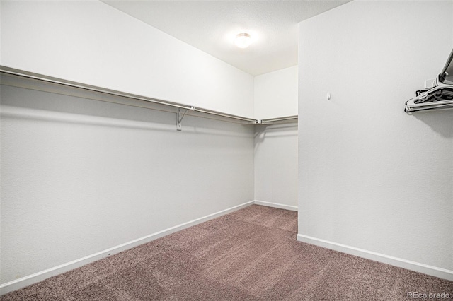 walk in closet with light carpet