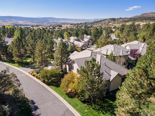 3104 Ramshorn Dr, Castle Rock, CO 80108 - photo 2