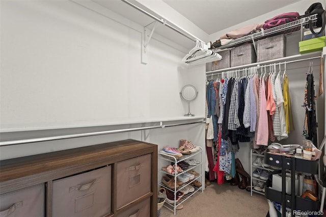 spacious closet with carpet