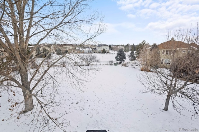 view of yard layered in snow