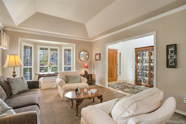 2359 Indian Paintbrush Cir, Highlands Ranch, CO 80129 - living area with baseboards, a tray ceiling, carpet, and crown molding
