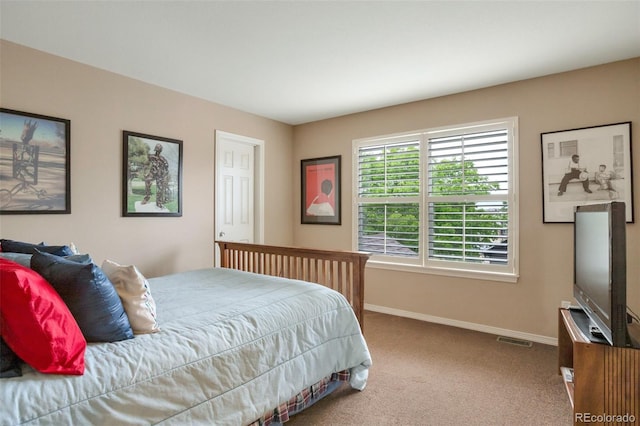 2359 Indian Paintbrush Cir, Highlands Ranch, CO 80129 - bedroom with carpet floors and baseboards