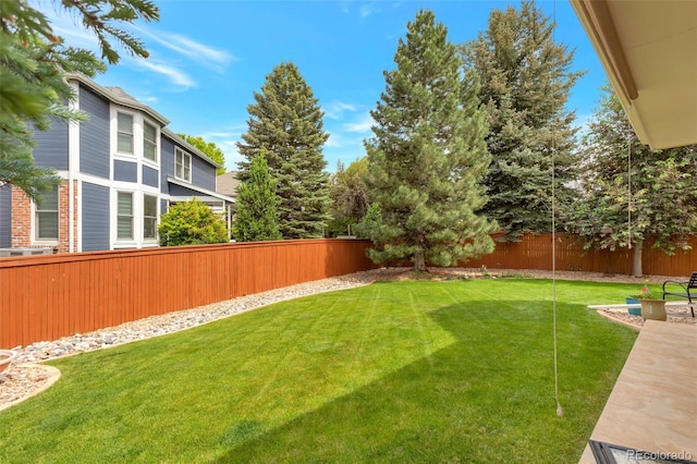 2359 Indian Paintbrush Cir, Highlands Ranch, CO 80129 - view of yard