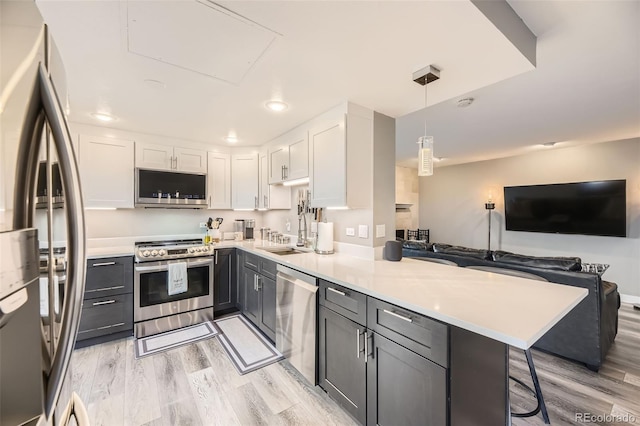 130 N Pearl St Unit 1001, Denver, CO 80203 - kitchen with a peninsula, open floor plan, a sink, light wood-style flooring, and stainless steel appliances