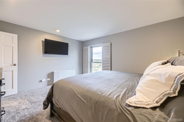 130 N Pearl St Unit 1001, Denver, CO 80203 - bedroom with carpet flooring