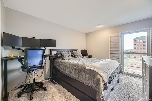 130 N Pearl St Unit 1001, Denver, CO 80203 - view of carpeted bedroom