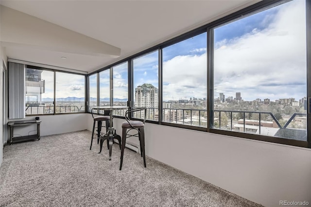 130 N Pearl St Unit 1001, Denver, CO 80203 - sunroom featuring carpet floors and a view of city