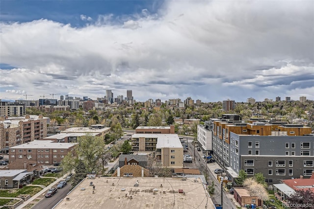 130 N Pearl St Unit 1001, Denver, CO 80203 - city view