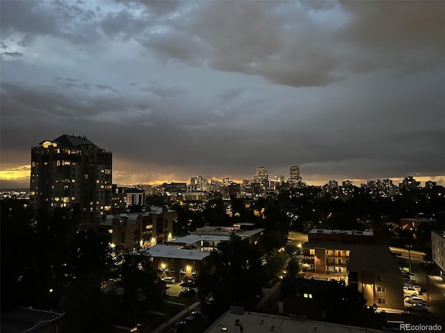 130 N Pearl St Unit 1001, Denver, CO 80203 - property's view of city