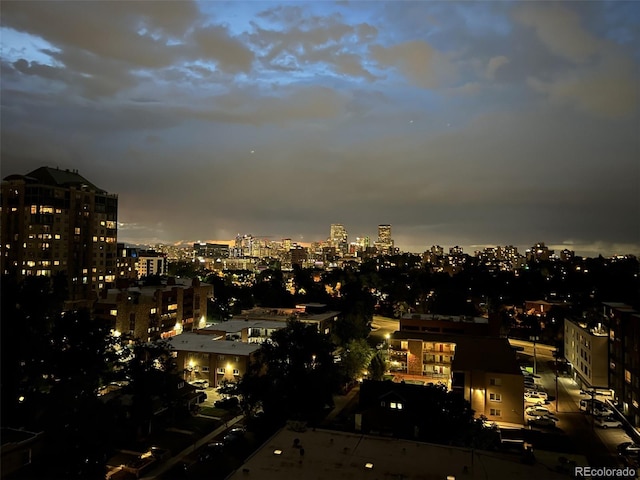 130 N Pearl St Unit 1001, Denver, CO 80203 - view of city