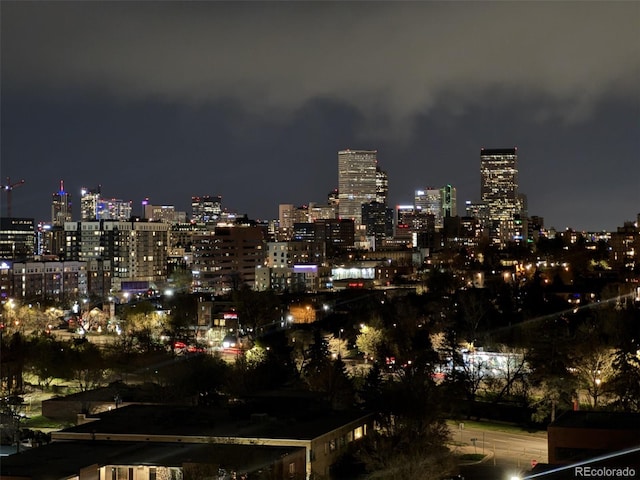 130 N Pearl St Unit 1001, Denver, CO 80203 - view of city