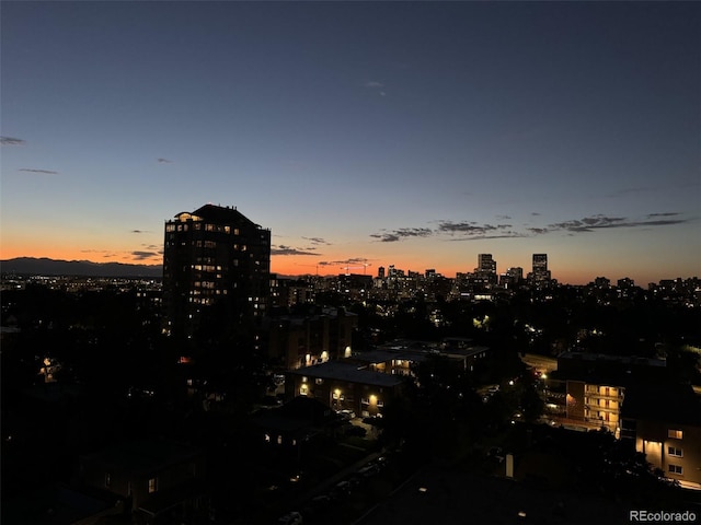 130 N Pearl St Unit 1001, Denver, CO 80203 - view of city