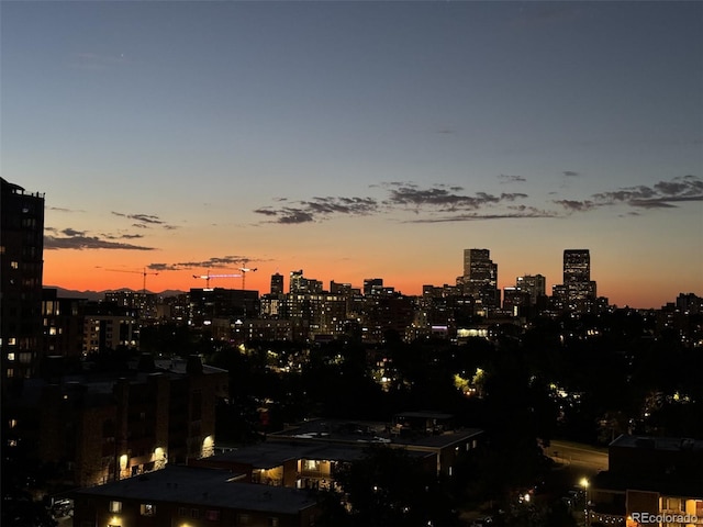 130 N Pearl St Unit 1001, Denver, CO 80203 - city view