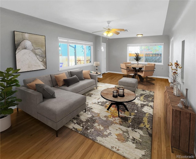 828 Mariposa St, Denver, CO 80204 - living room with wood finished floors, a ceiling fan, and baseboards