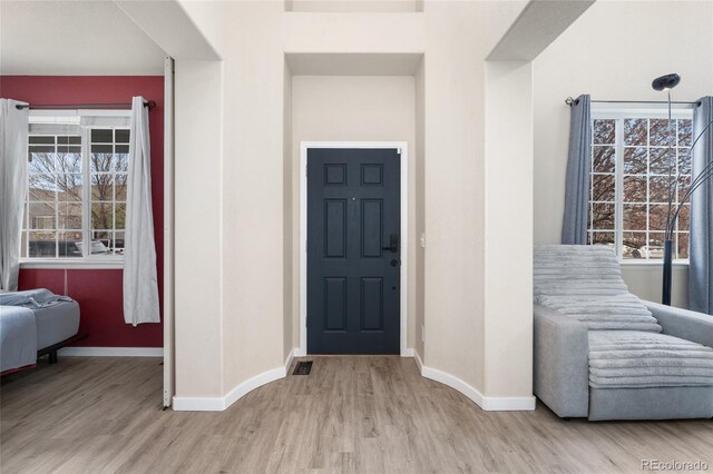 foyer with wood finished floors, baseboards, and plenty of natural light