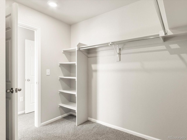 spacious closet with carpet flooring