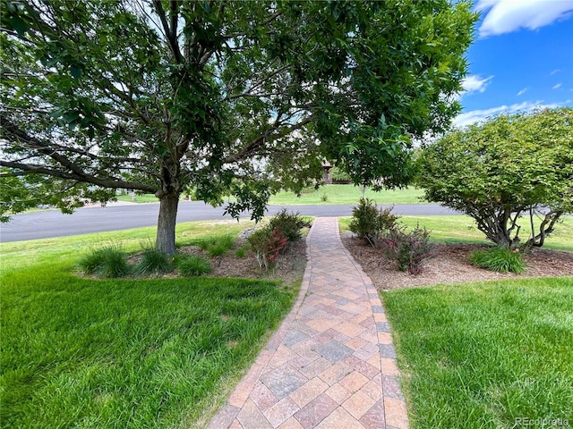 12665 S Robinson Ranch Ct, Parker, CO 80134 - view of grassy yard