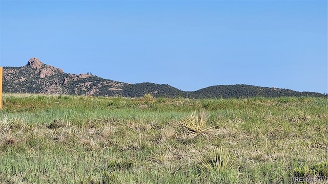 310 Sleepy Hollow Trl, Texas Creek, CO 81223 - photo 6