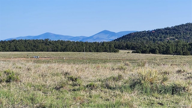 310 Sleepy Hollow Trl, Texas Creek, CO 81223 - photo 12