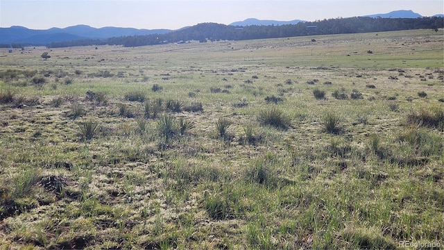 310 Sleepy Hollow Trl, Texas Creek, CO 81223 - photo 14