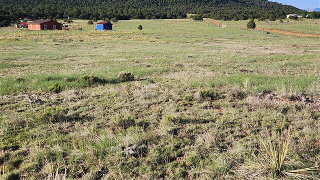 310 Sleepy Hollow Trl, Texas Creek, CO 81223 - photo 17