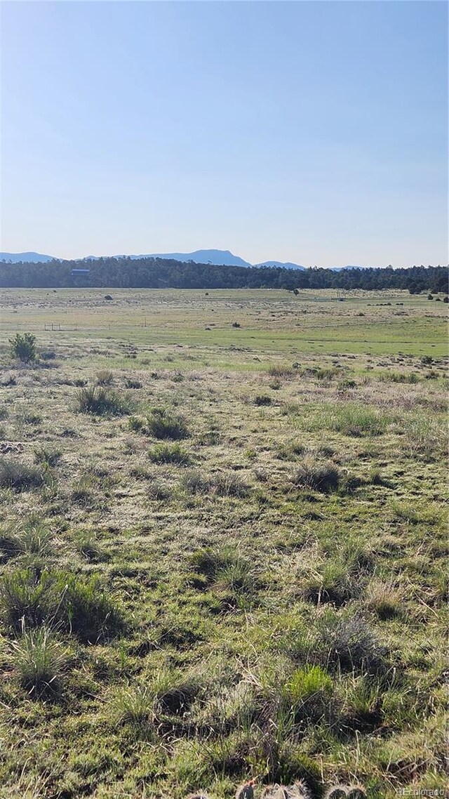 310 Sleepy Hollow Trl, Texas Creek, CO 81223 - photo 22