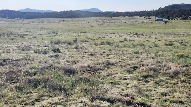 310 Sleepy Hollow Trl, Texas Creek, CO 81223 - photo 26