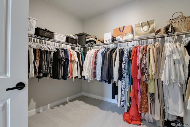 spacious closet featuring carpet flooring