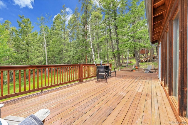 30122 Nancys Ln, Conifer, CO 80433 - photo 41