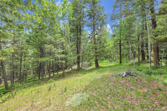 30122 Nancys Ln, Conifer, CO 80433 - photo 42