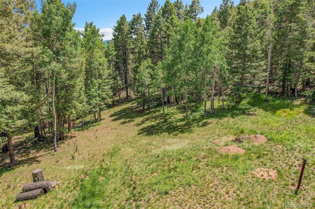 30122 Nancys Ln, Conifer, CO 80433 - photo 43