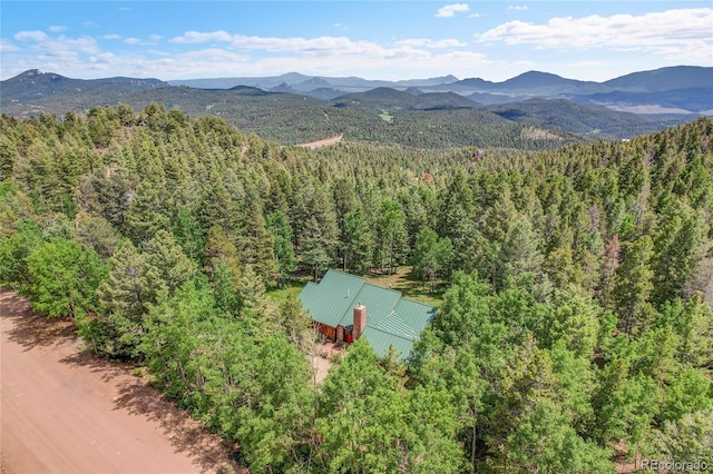 30122 Nancys Ln, Conifer, CO 80433 - photo 44