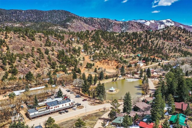 10580 Illinois Ave, Green Mountain Falls, CO 80819 - photo 49